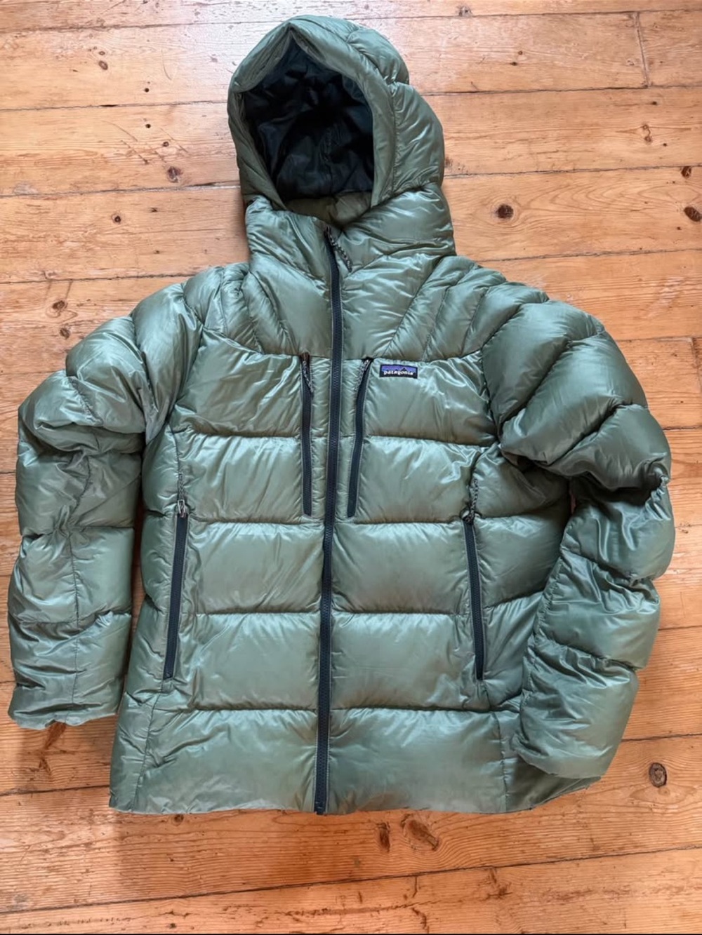 Women’s Patagonia Fitz Roy Large